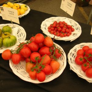 tomates-variations2.jpg