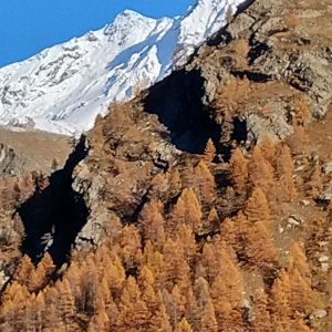 Val de Rhêmes