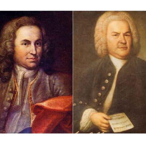 Bach Pro Fan (4 au 10 avril 2027 - Cratoule, Gard)