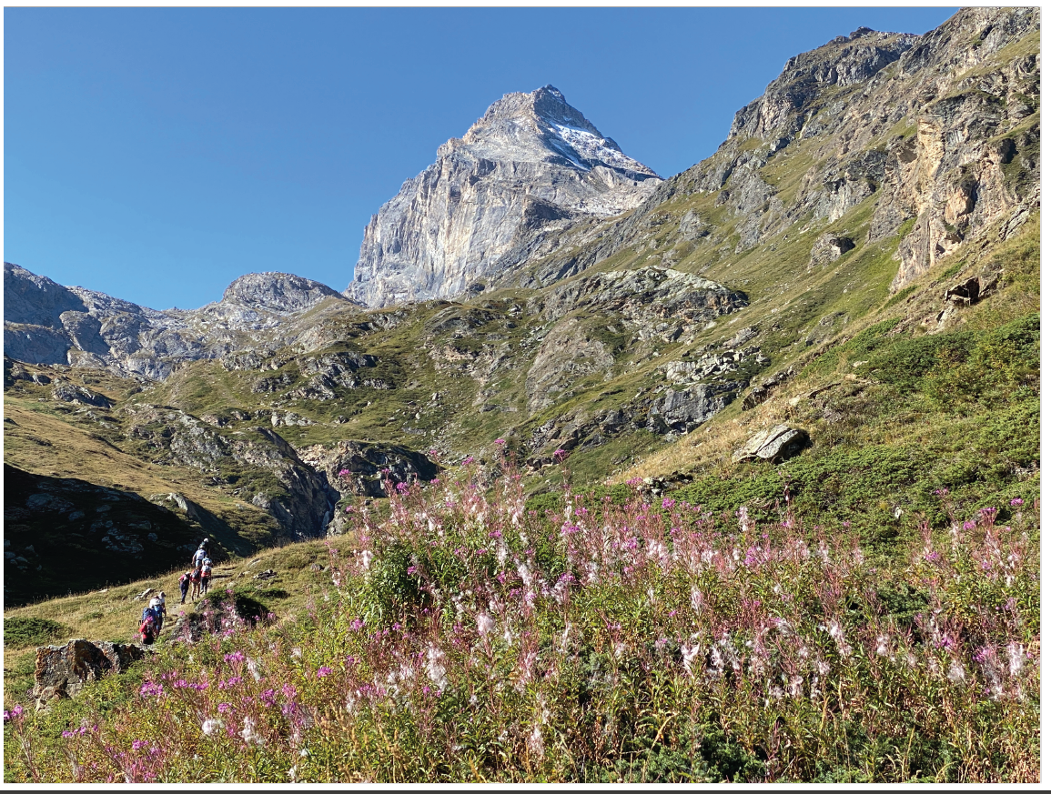 Participants au stage "Va-et-vient" (Rhêmes-Notre-Dame, Val d'Aoste 2024)